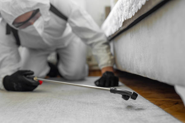 Professional Cockroach Control technician working in Hancock, MD